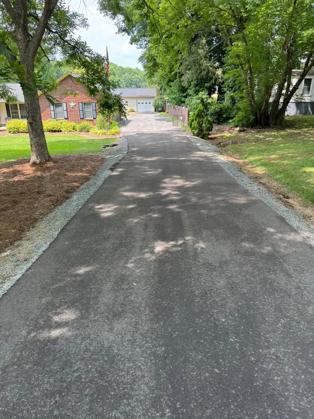Tree-lined gravel driveway